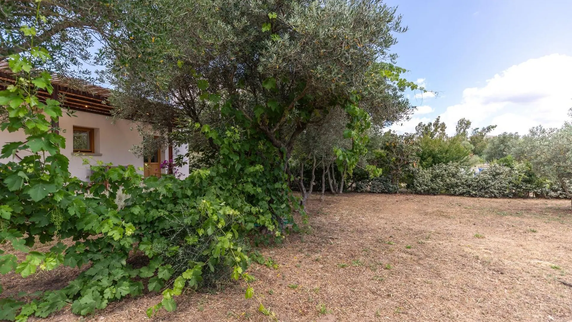 Casa Giulia - Vacanze A Ольбия 0*,