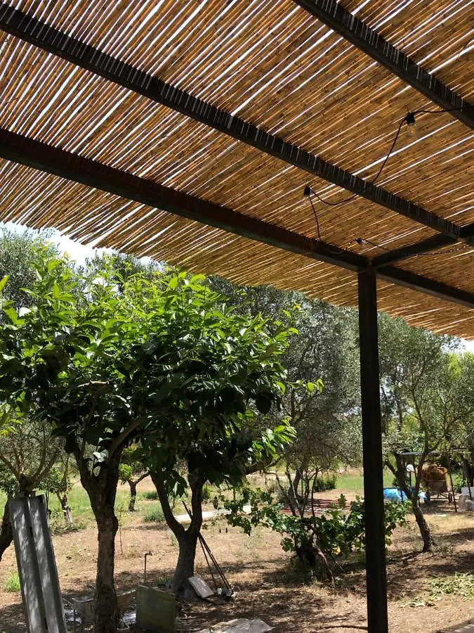 Casa Giulia - Vacanze A Olbia